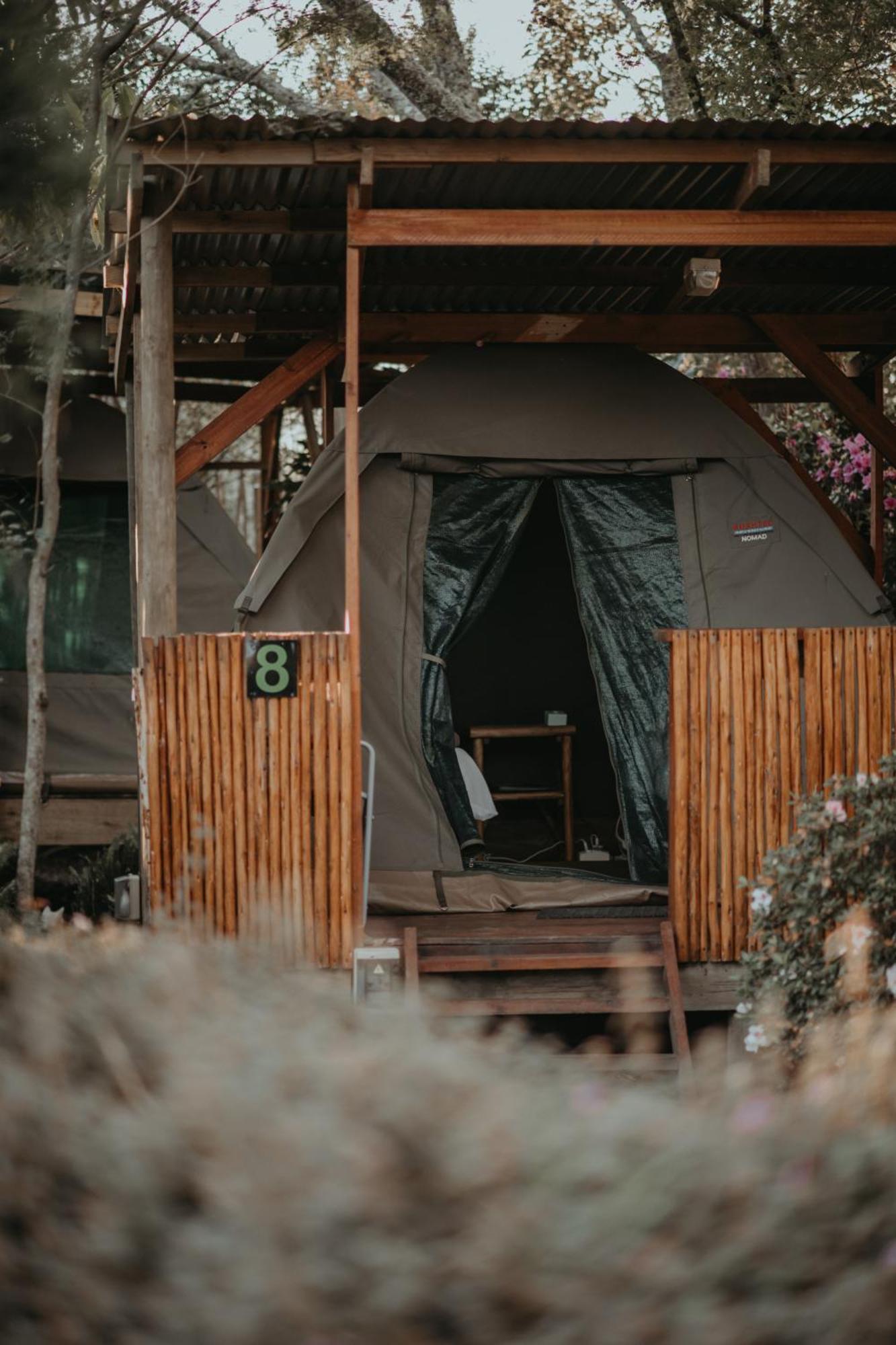 Storms River Forest Lodge 斯托姆勒菲 外观 照片