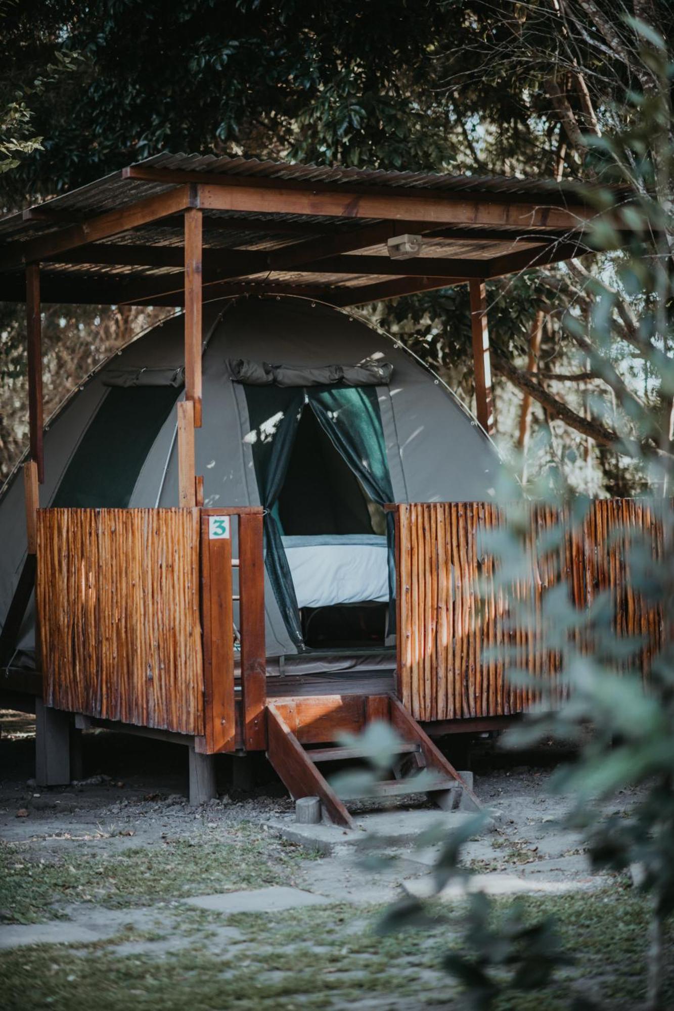 Storms River Forest Lodge 斯托姆勒菲 外观 照片