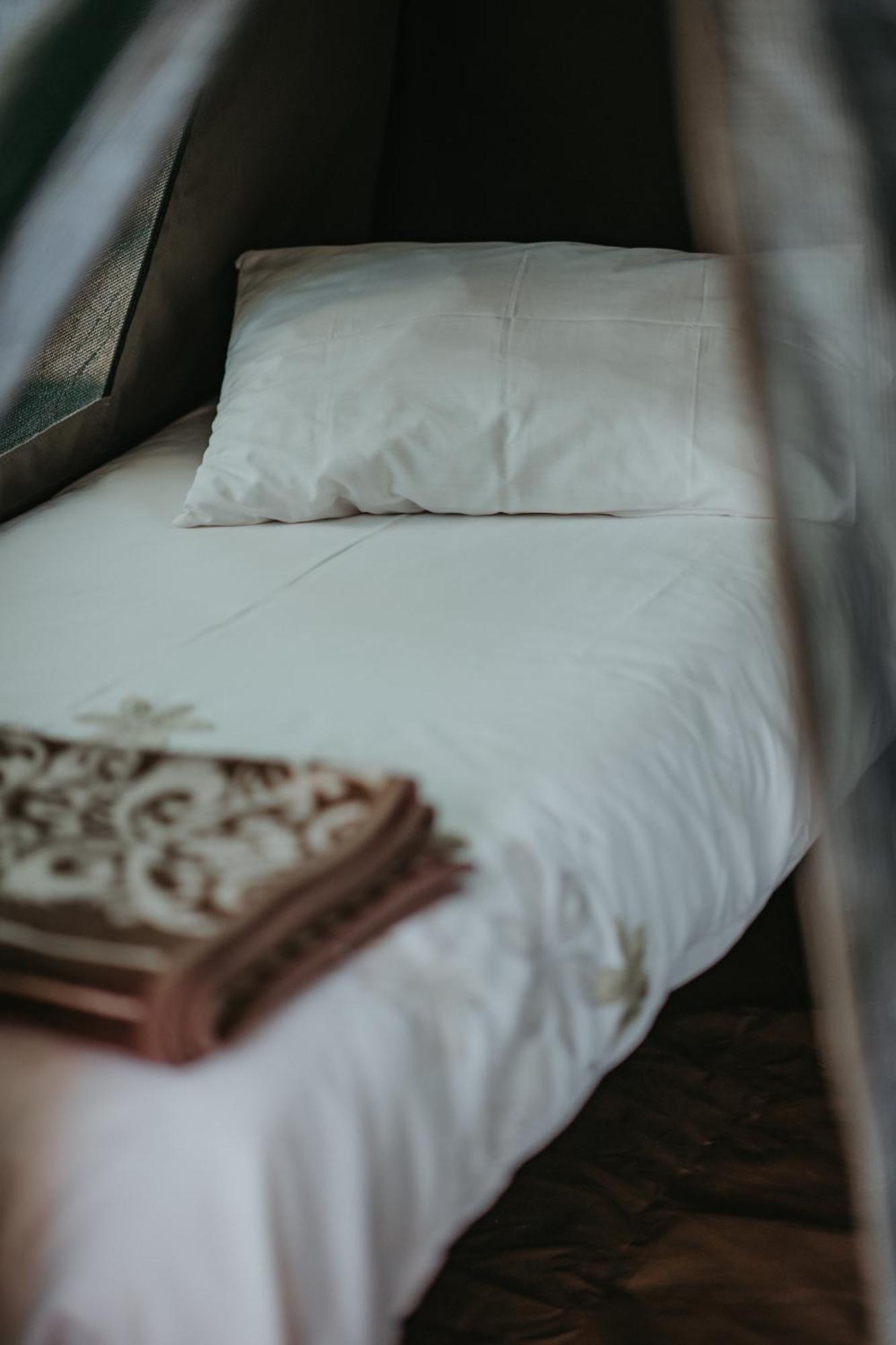 Storms River Forest Lodge 斯托姆勒菲 外观 照片