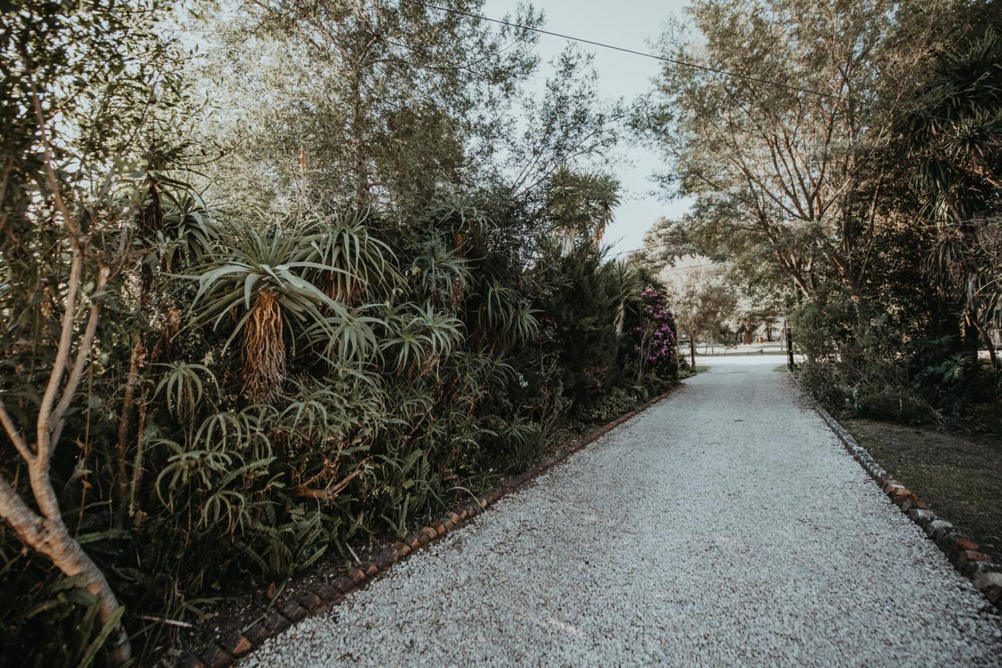 Storms River Forest Lodge 斯托姆勒菲 外观 照片
